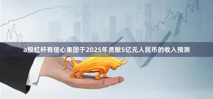 a股杠杆有信心集团于2025年贡献5亿元人民币的收入预测