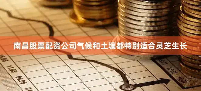 南昌股票配资公司气候和土壤都特别适合灵芝生长